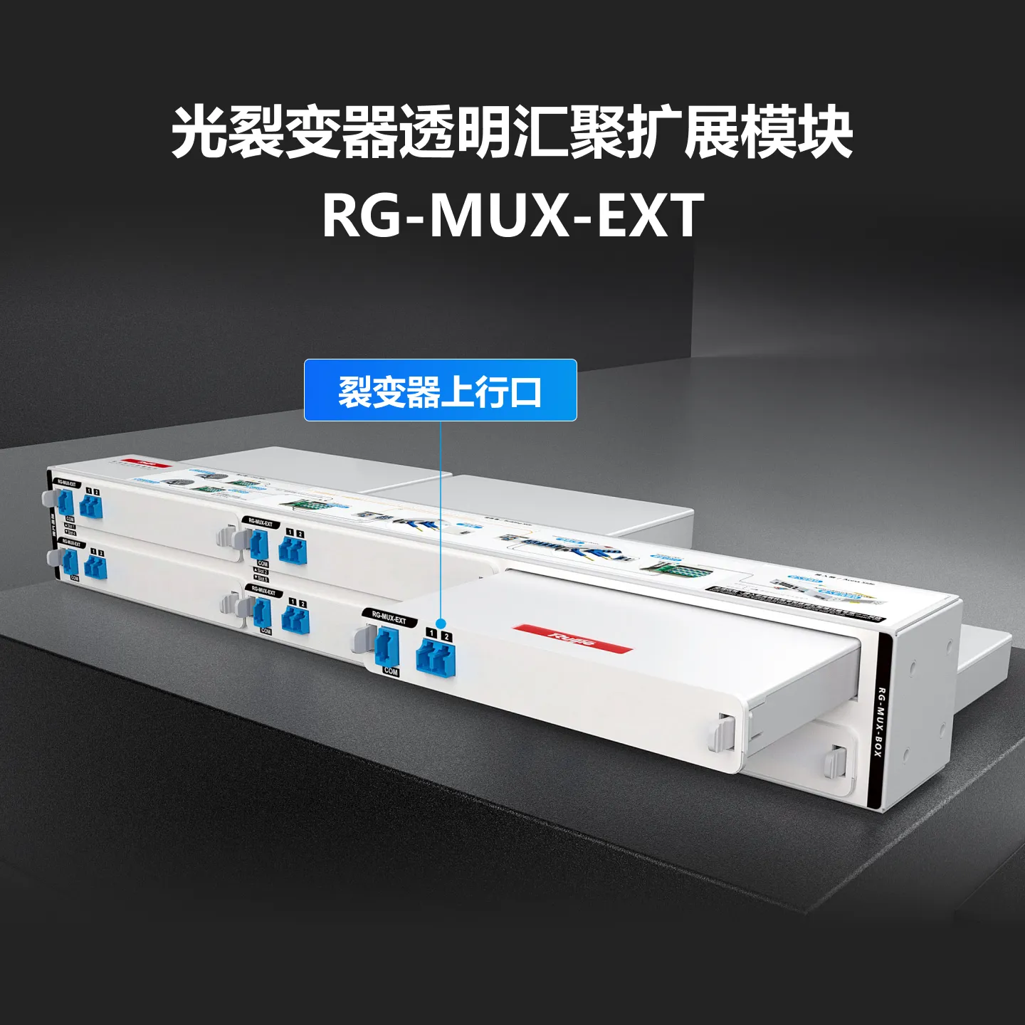 RG-MUX-EXT