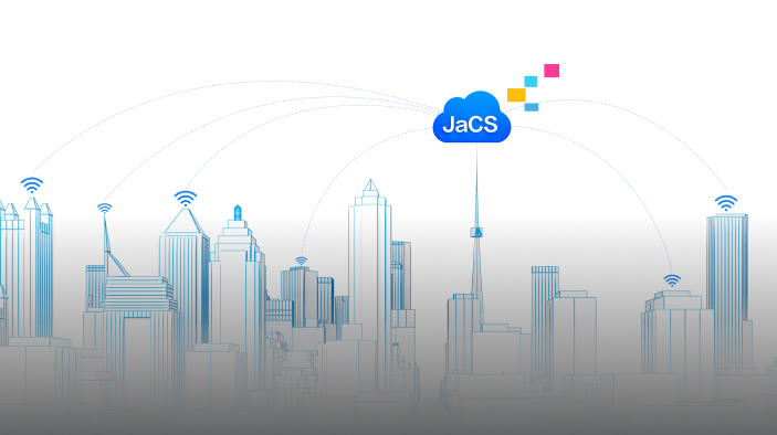 JaCS(Japan Cloud System)ソリューション