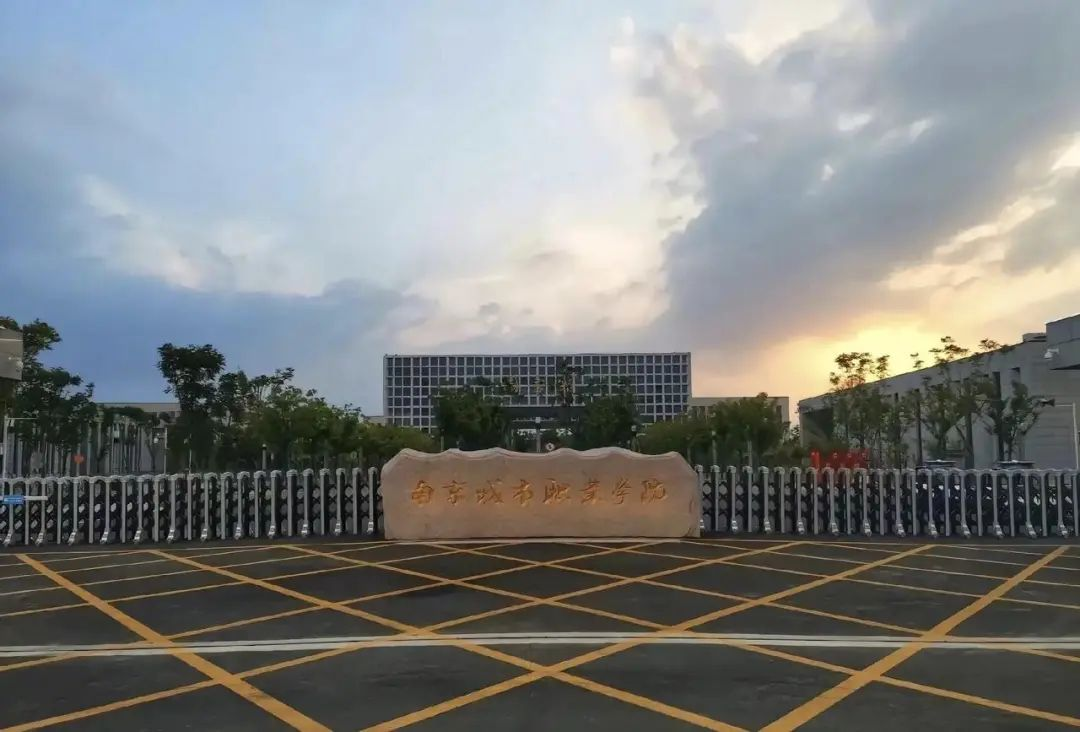 南京都会职业学院