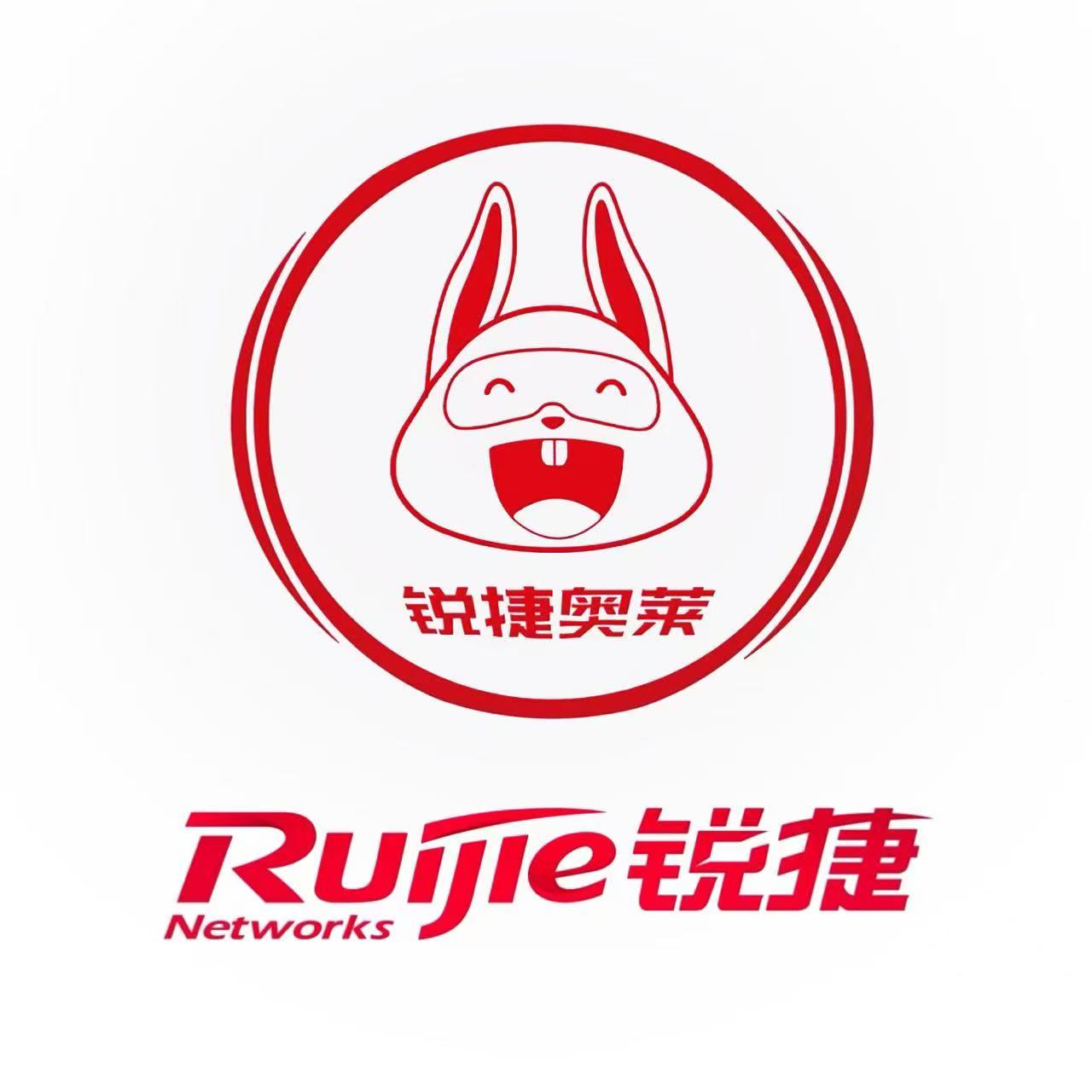 4G移动路由器，RG-RSR10-01G-T(WA)-S