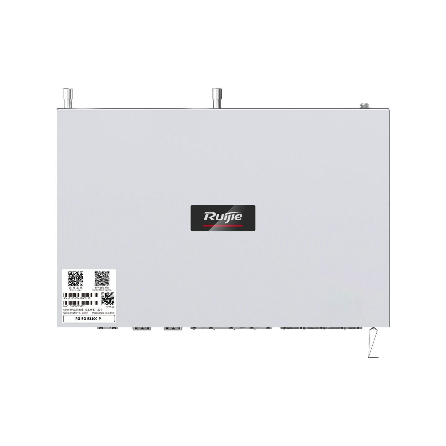 RG-EG-E3100-P